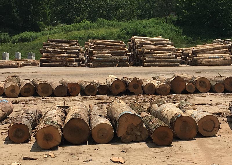 Log Marketing